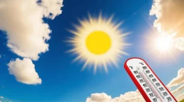 تحذير الأرصاد.. موجة شديدة البرودة تضرب البلاد رغم سطوع الشمس المؤقت مؤخرًا